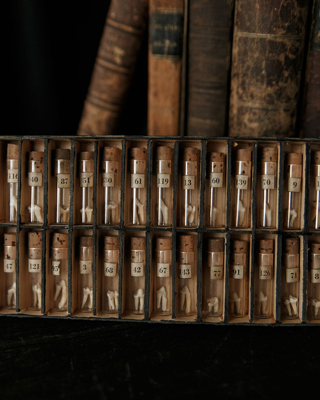 Tiny Teeth Curio Vials