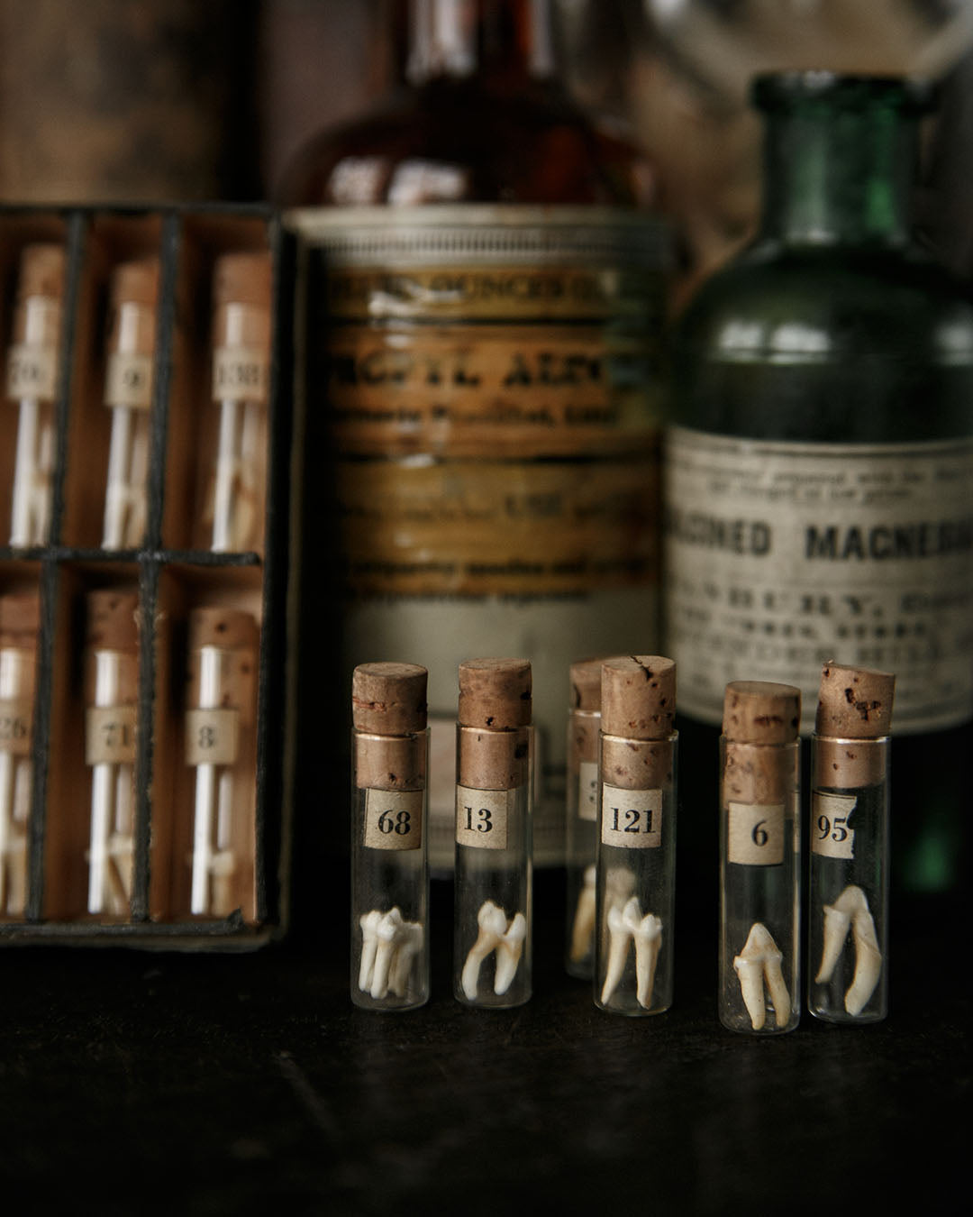 Tiny Teeth Curio Vials