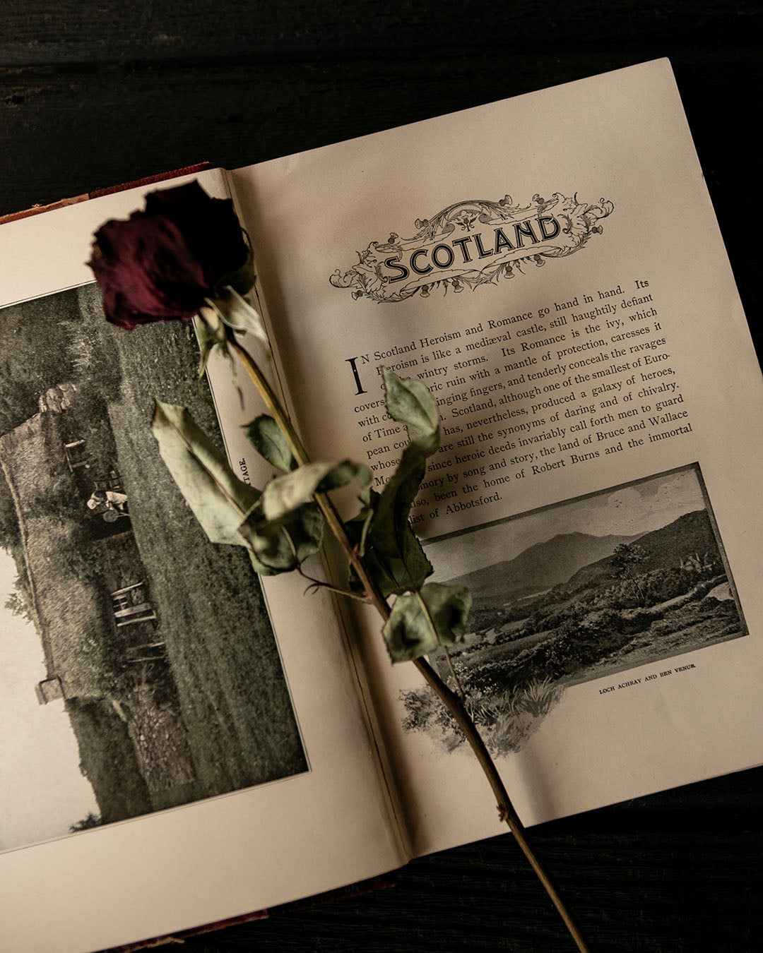 Stoddard's Lectures: Scotland, England, London