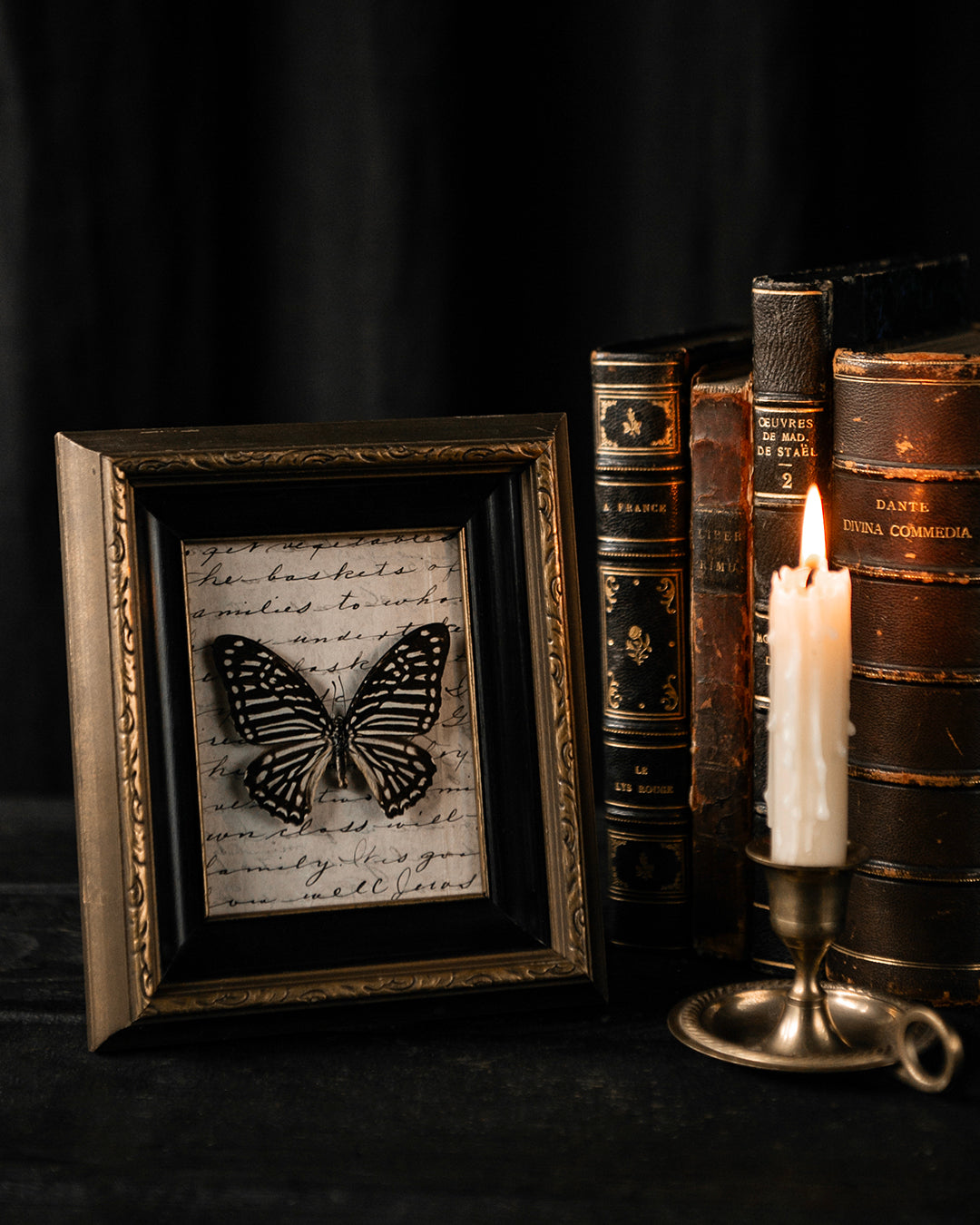 Mounted Butterfly