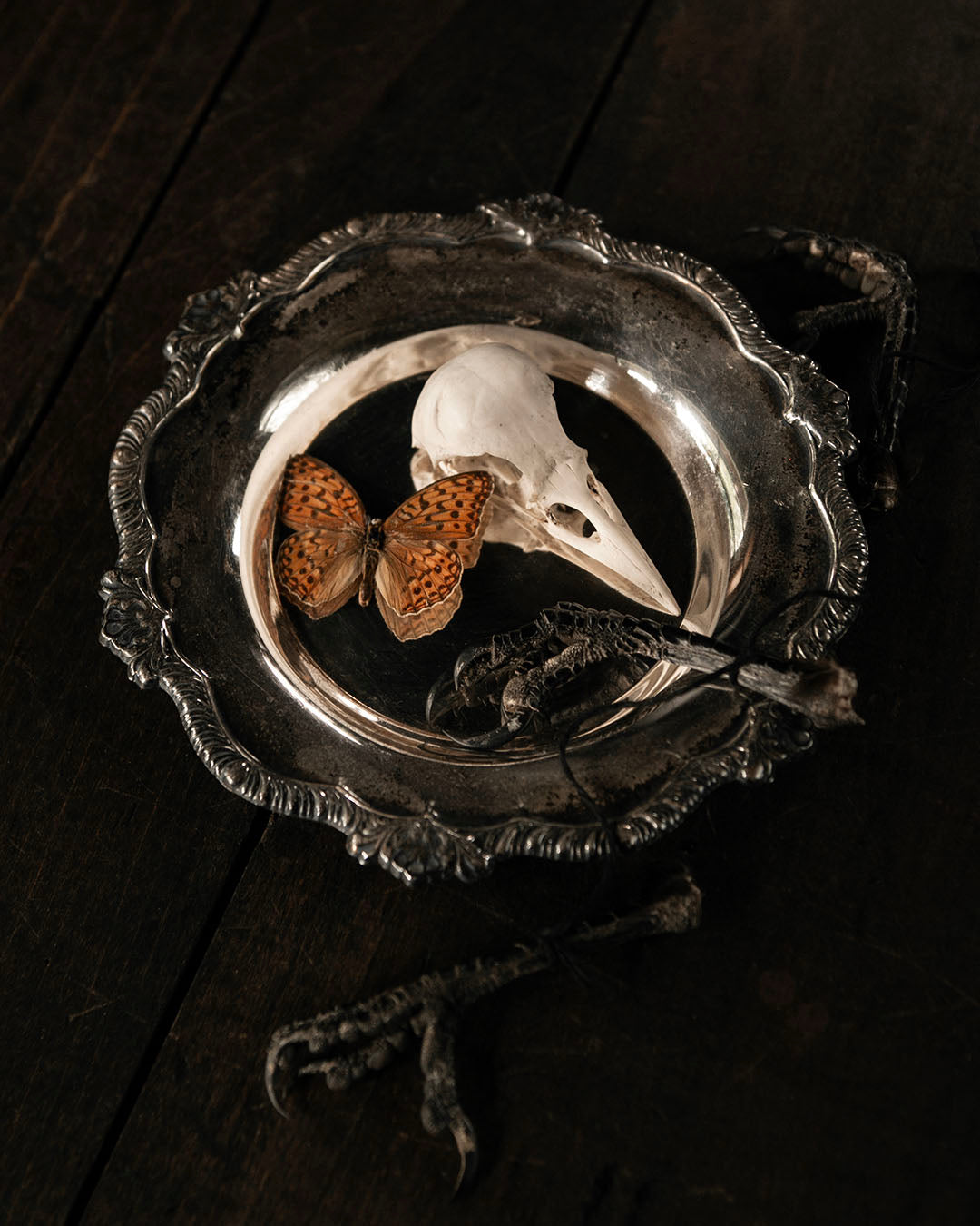 Silver Dish