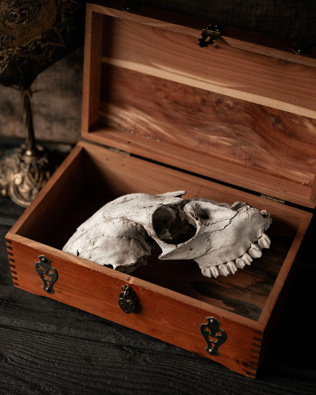 Medieval Style Chest
