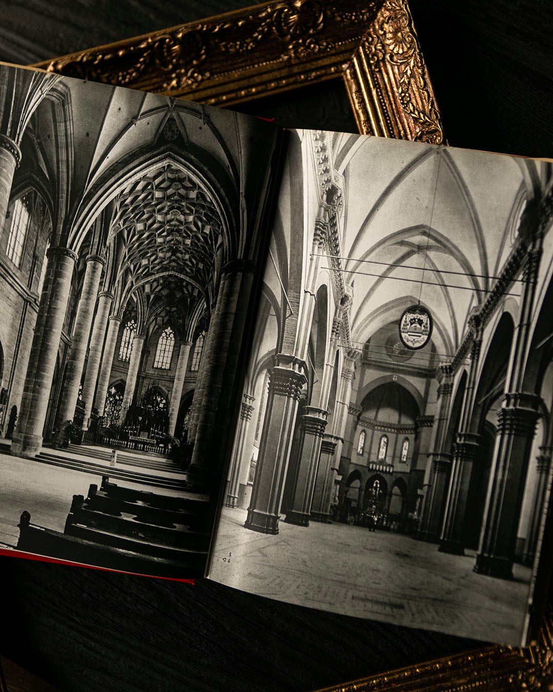 Art of the Renaissance Book