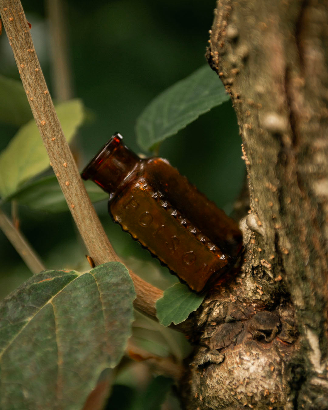 Antique Poison Bottle