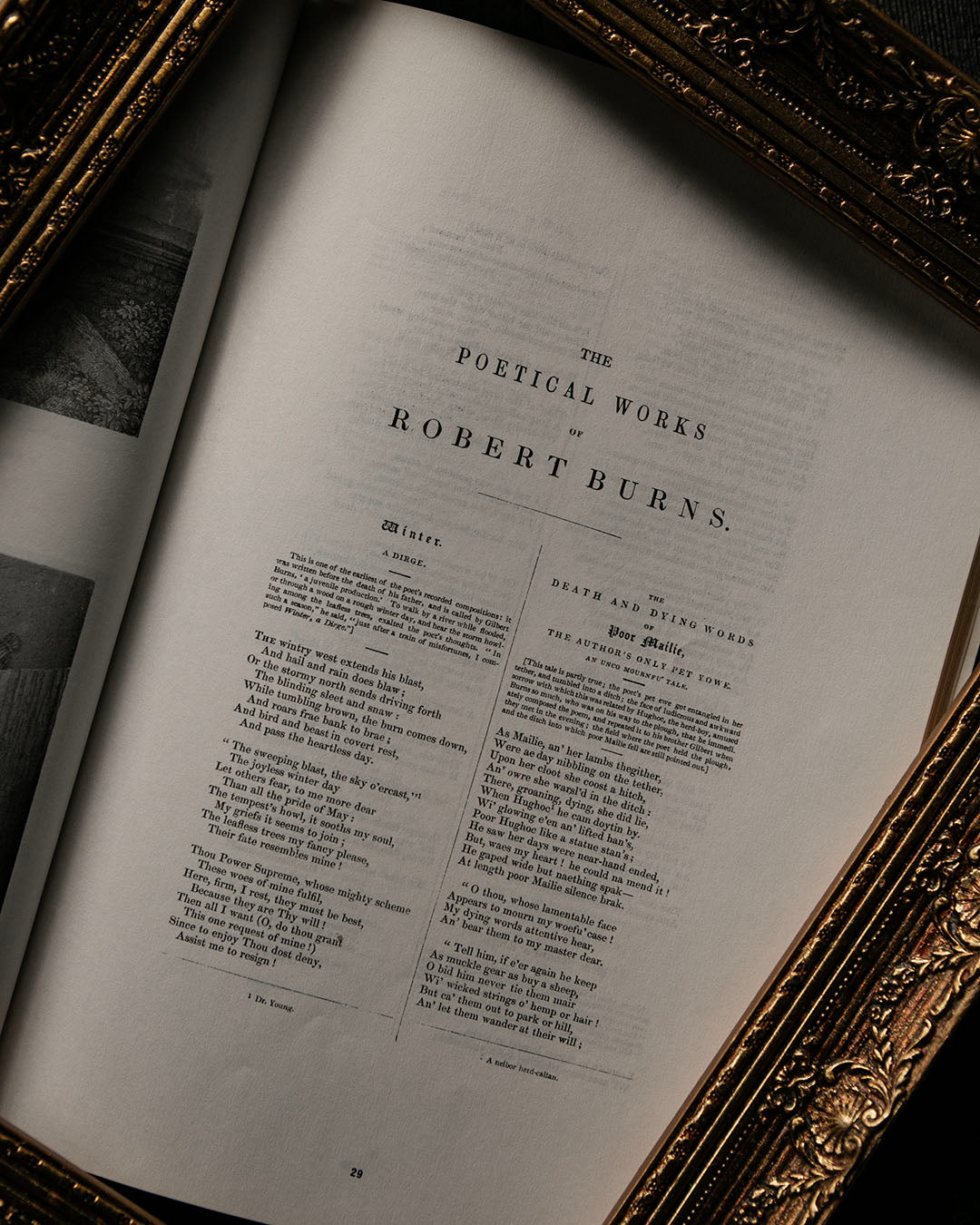 Robert Burns Book