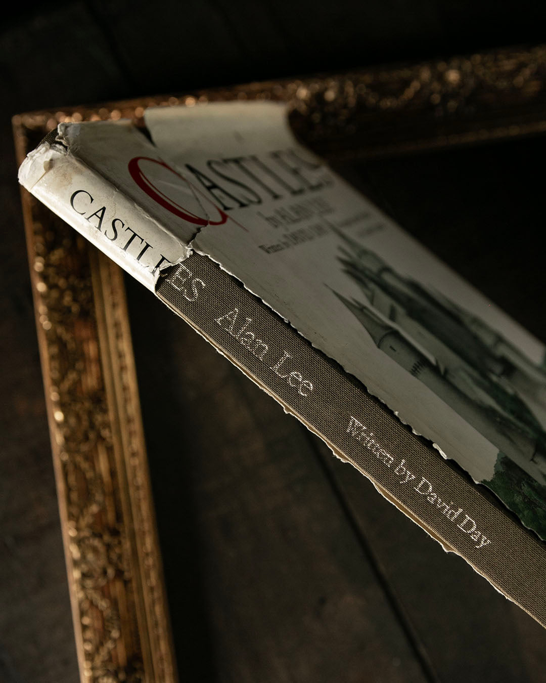 Castles Book