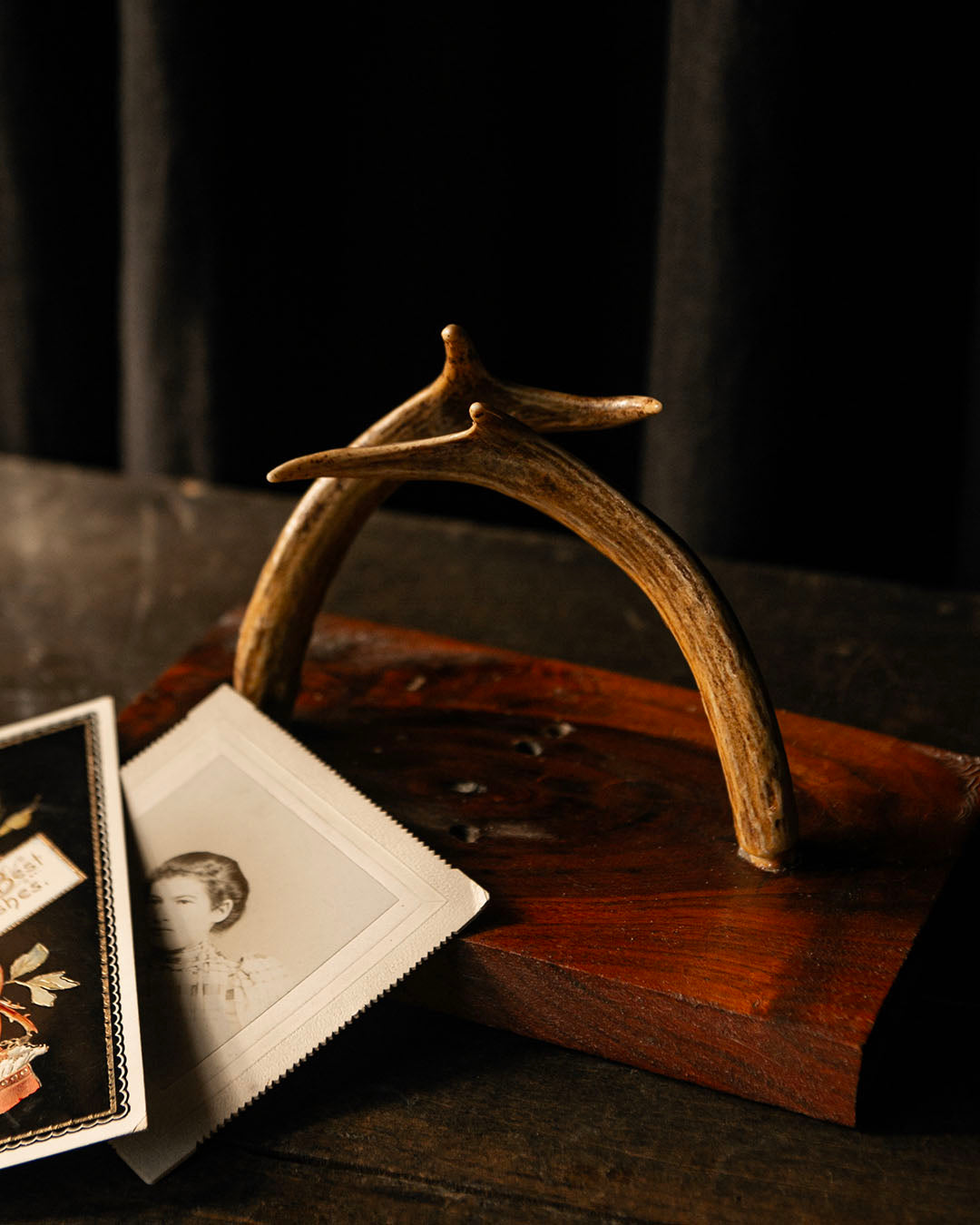 Antler Stand