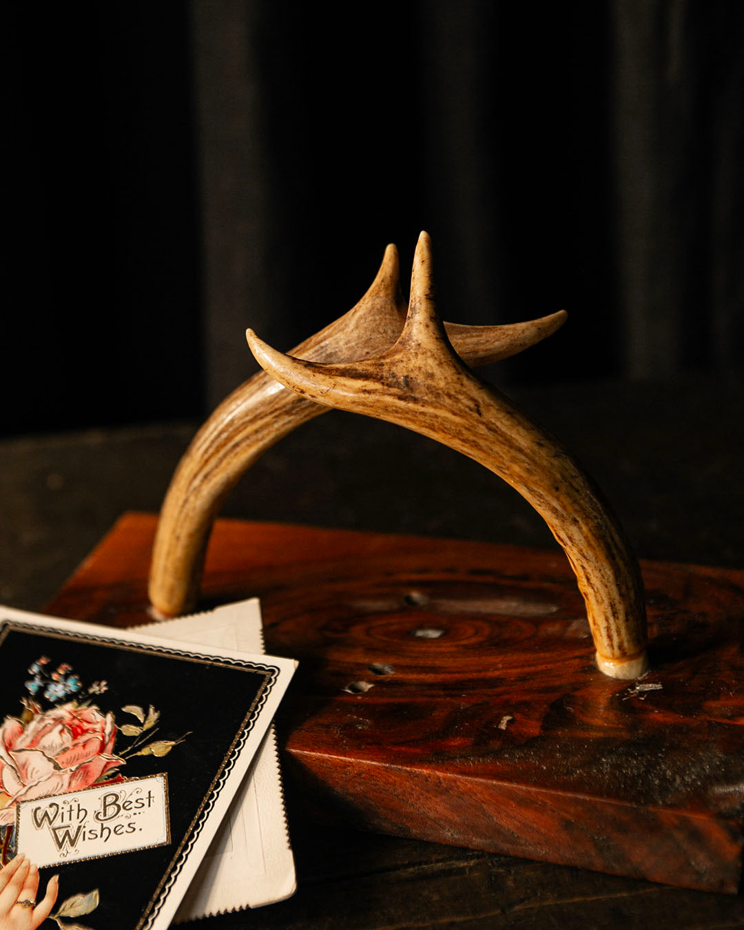 Antler Stand