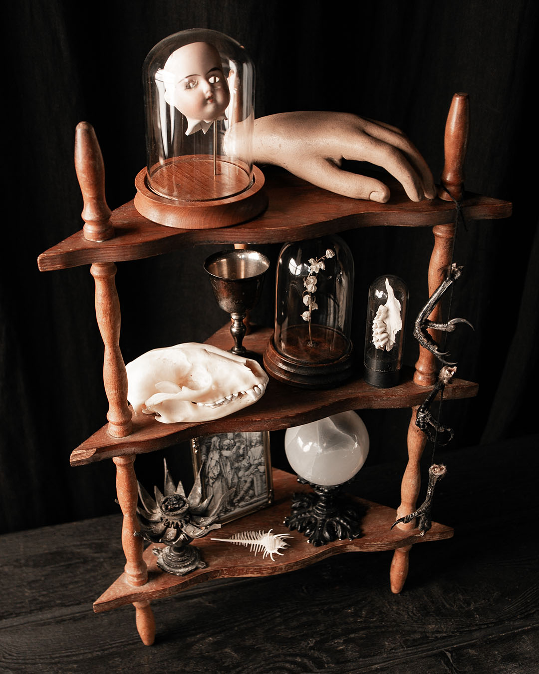 Curio Shelf