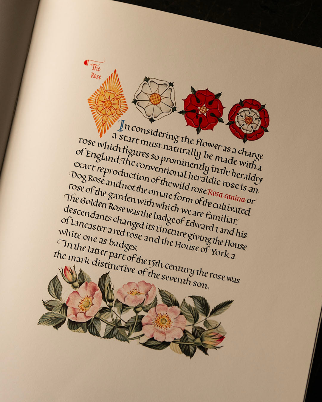 Flowers in Heraldry Book
