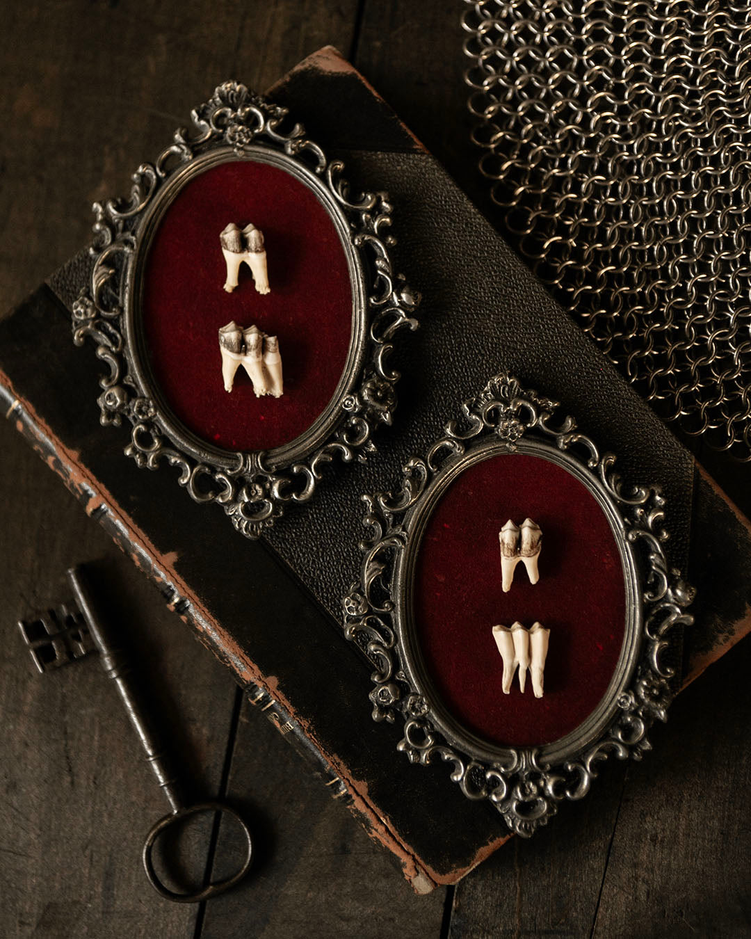 Framed Teeth