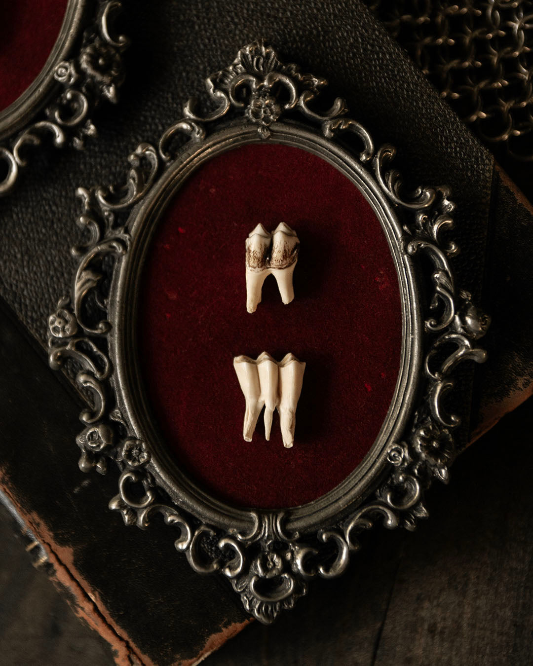 Framed Teeth