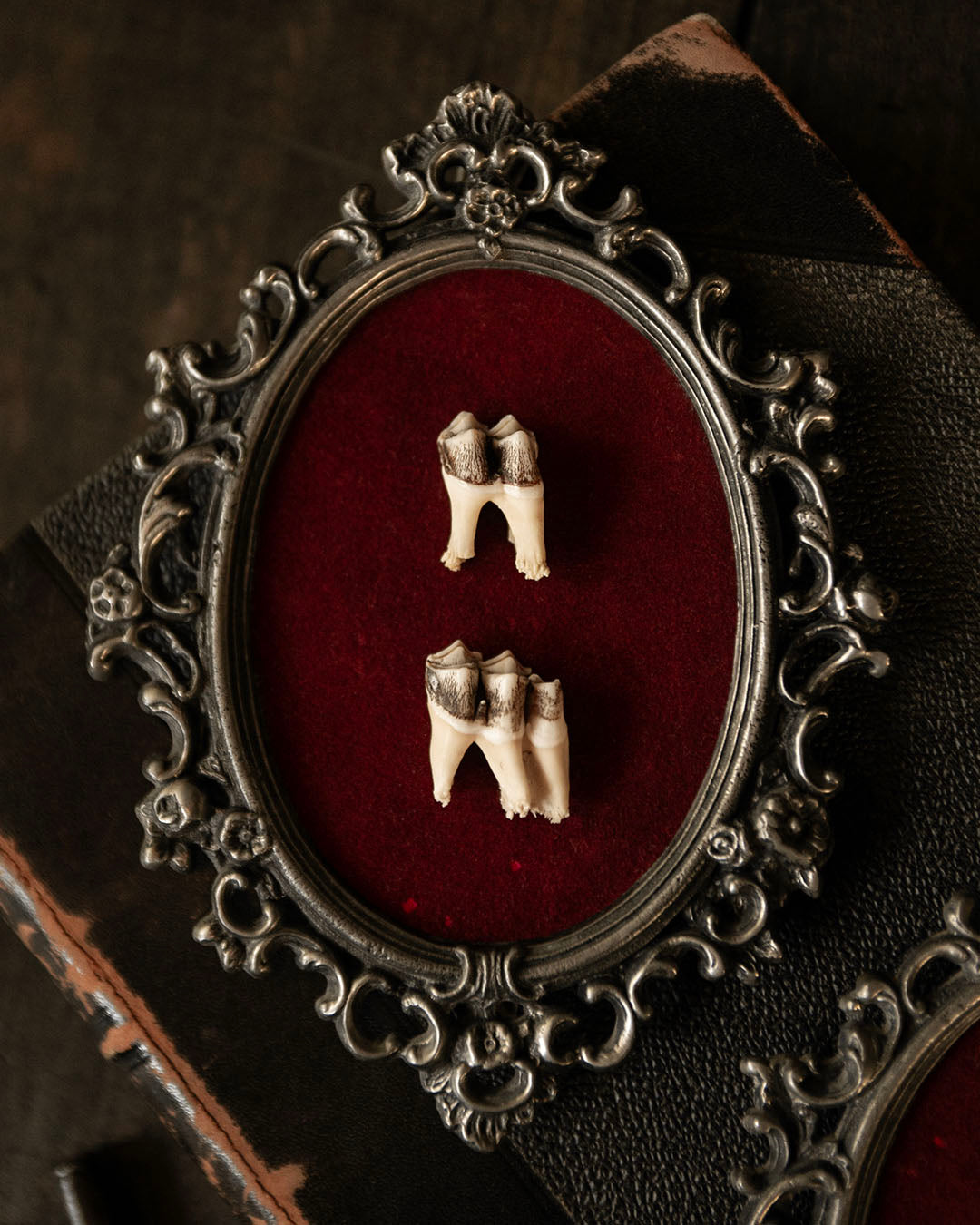 Framed Teeth