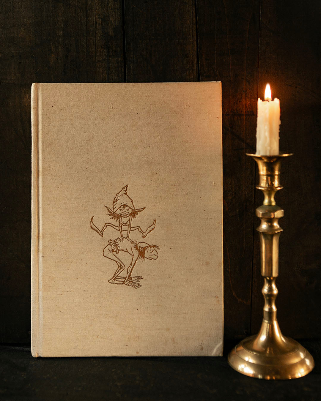 Faeries Book