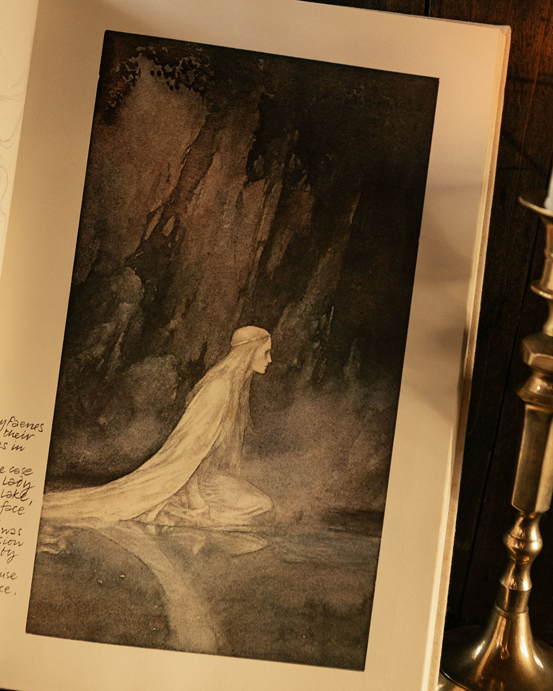 Faeries Book