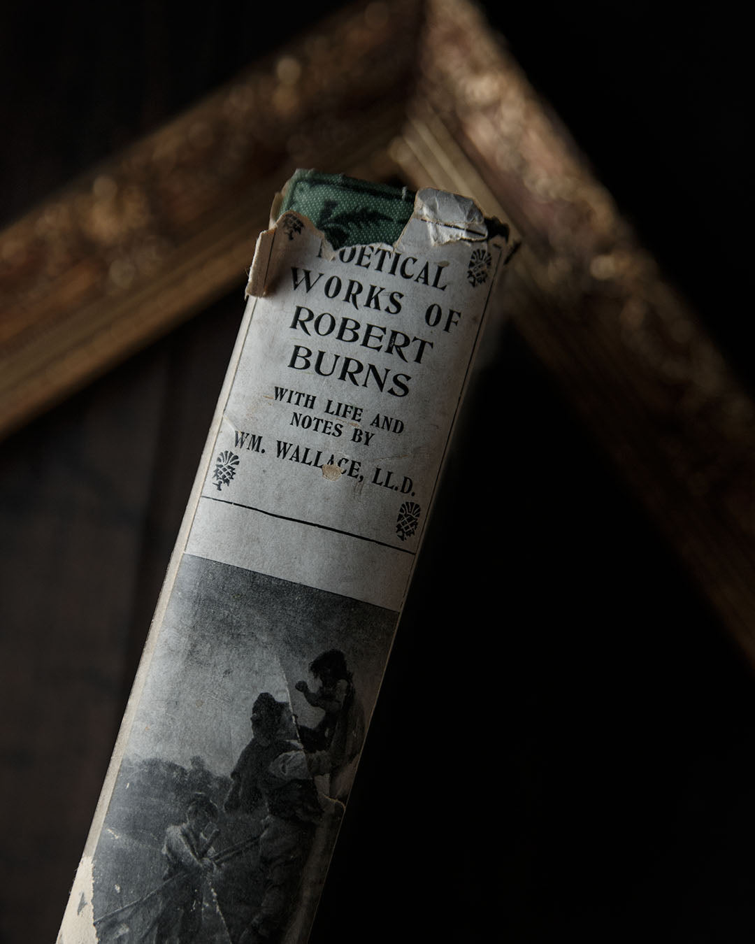 Poetical Works of Robert Burns Book