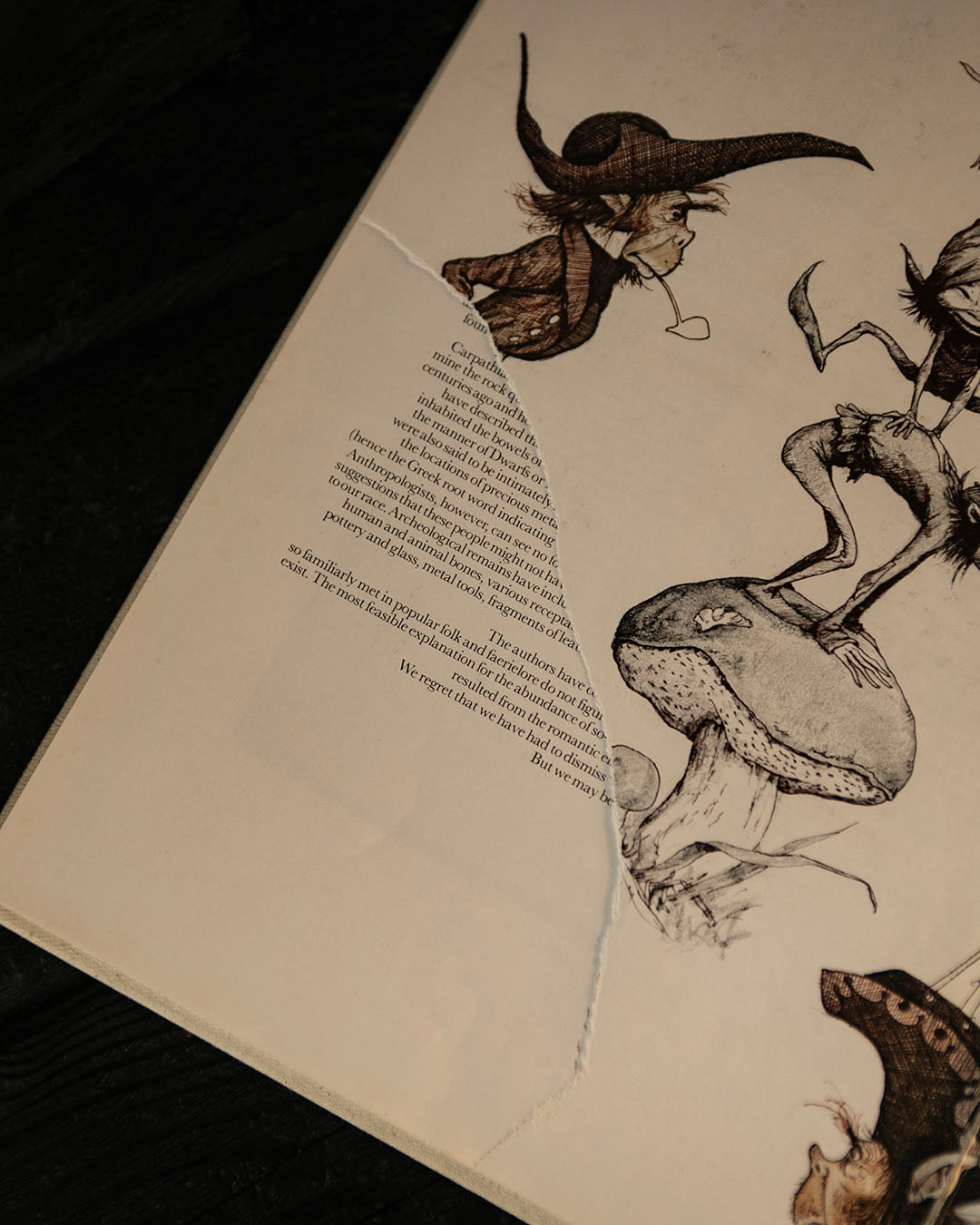 Faeries Book