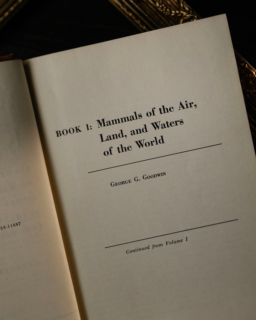 Mammals of the Air, Land & Waters of the World