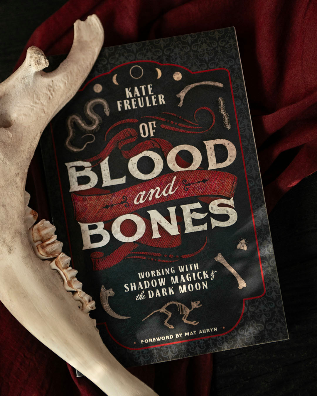 Of Blood & Bones Book
