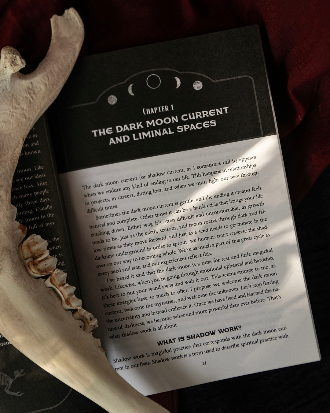 Of Blood & Bones Book