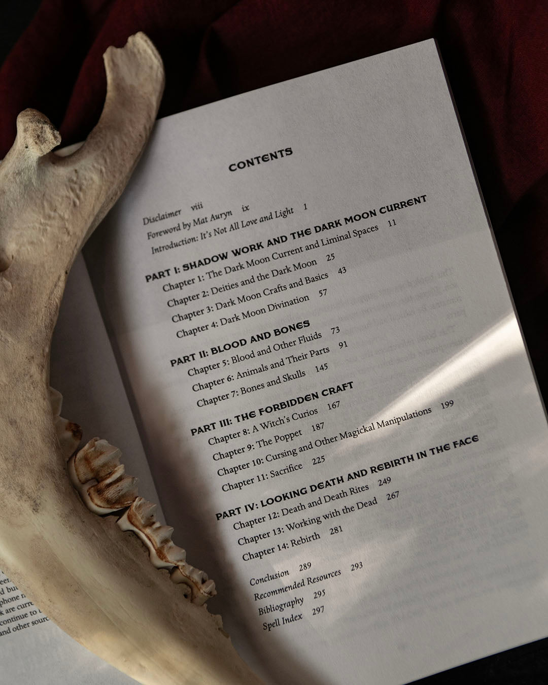Of Blood & Bones Book