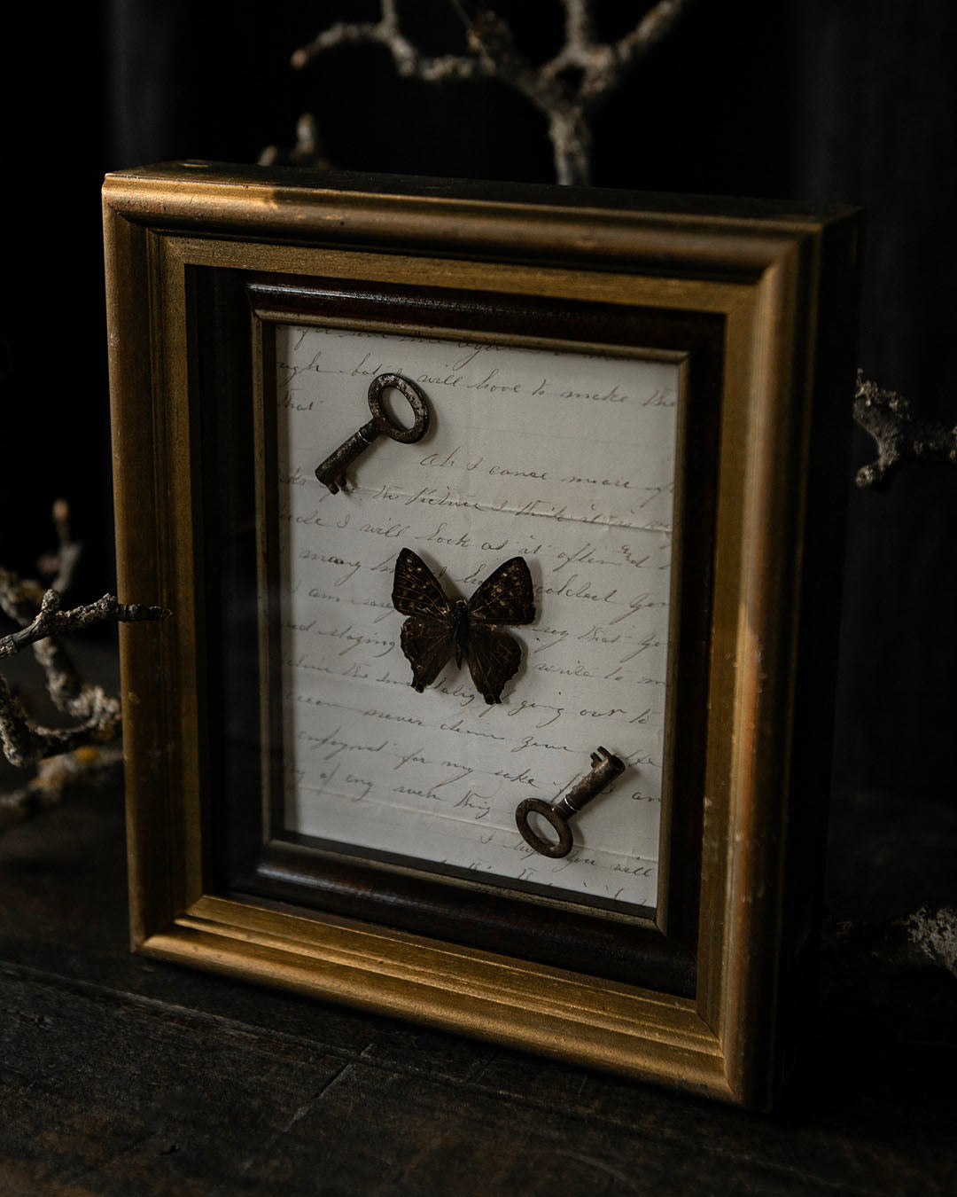 Framed Butterfly