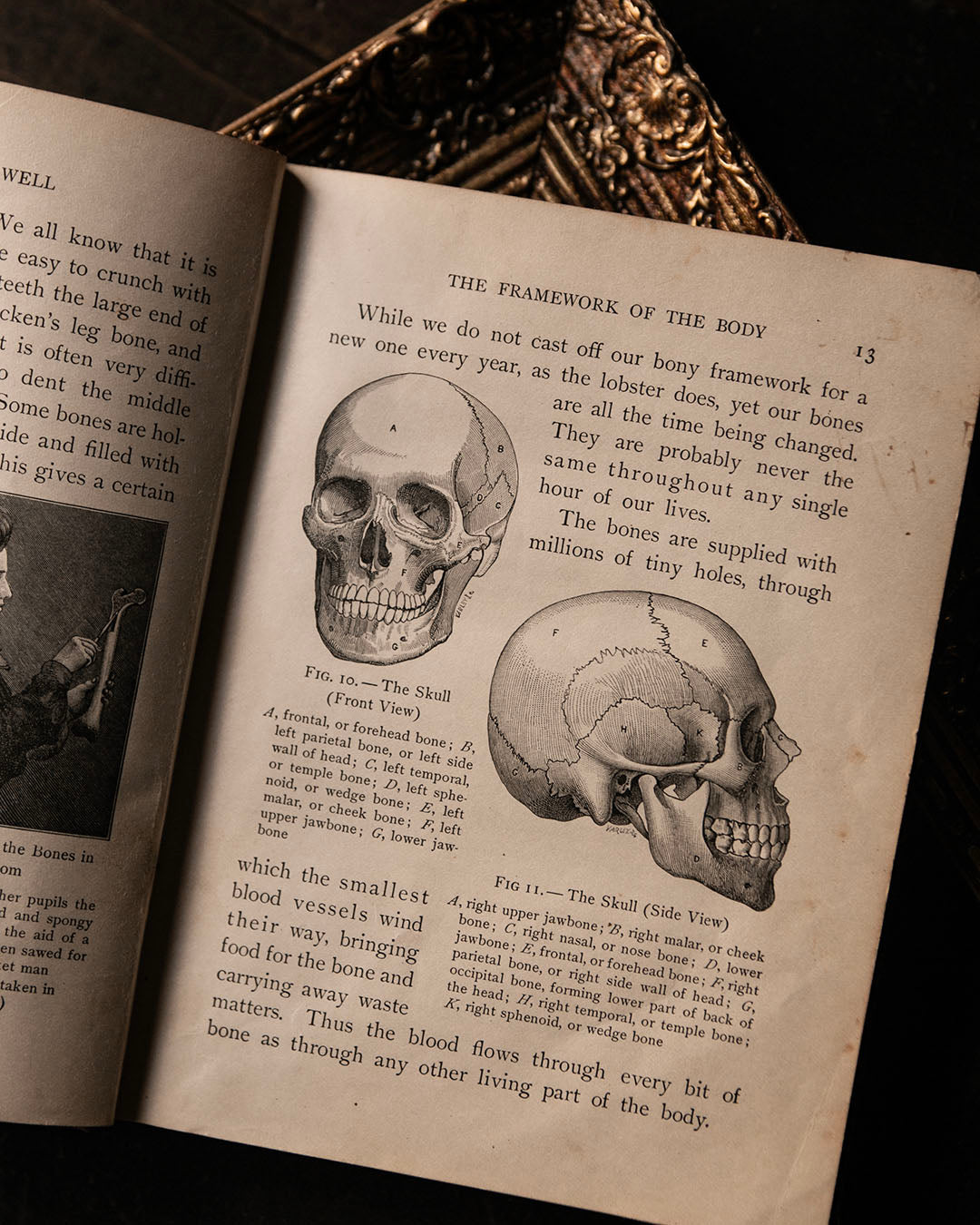 How To Keep Well Book