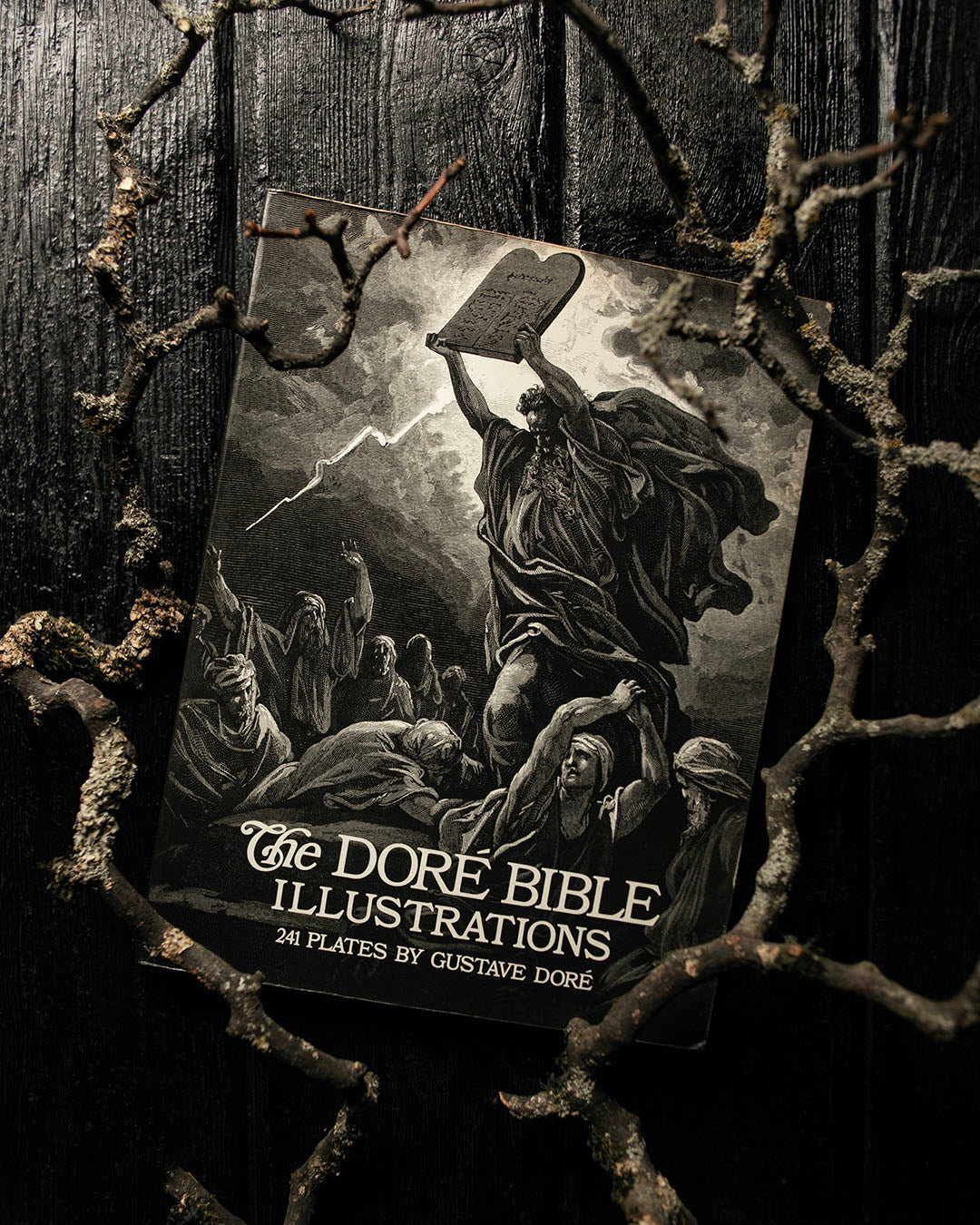 The Doré Bible Book