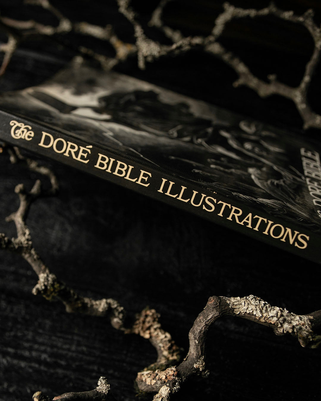 The Doré Bible Book
