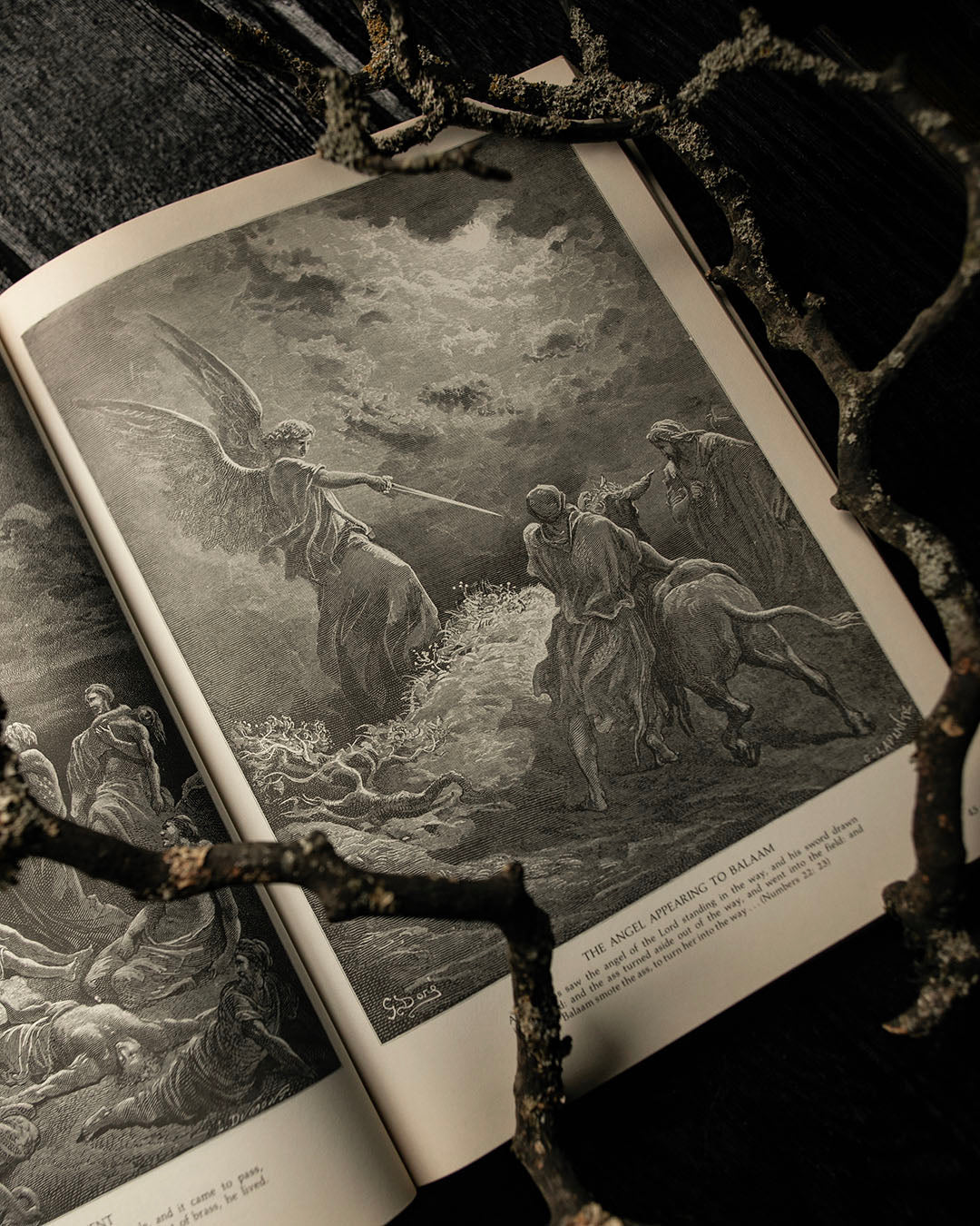 The Doré Bible Book
