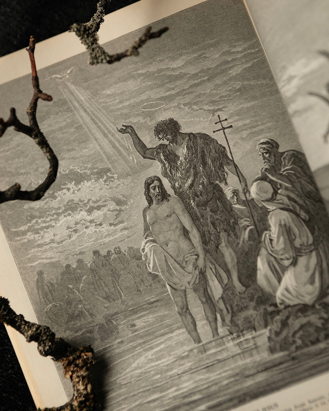 The Doré Bible Book