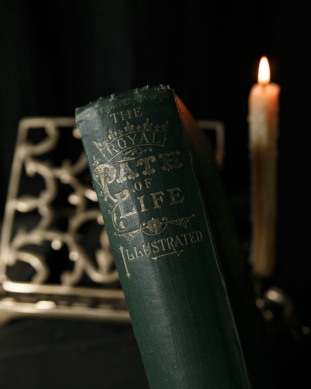 The Royal Path of Life Book