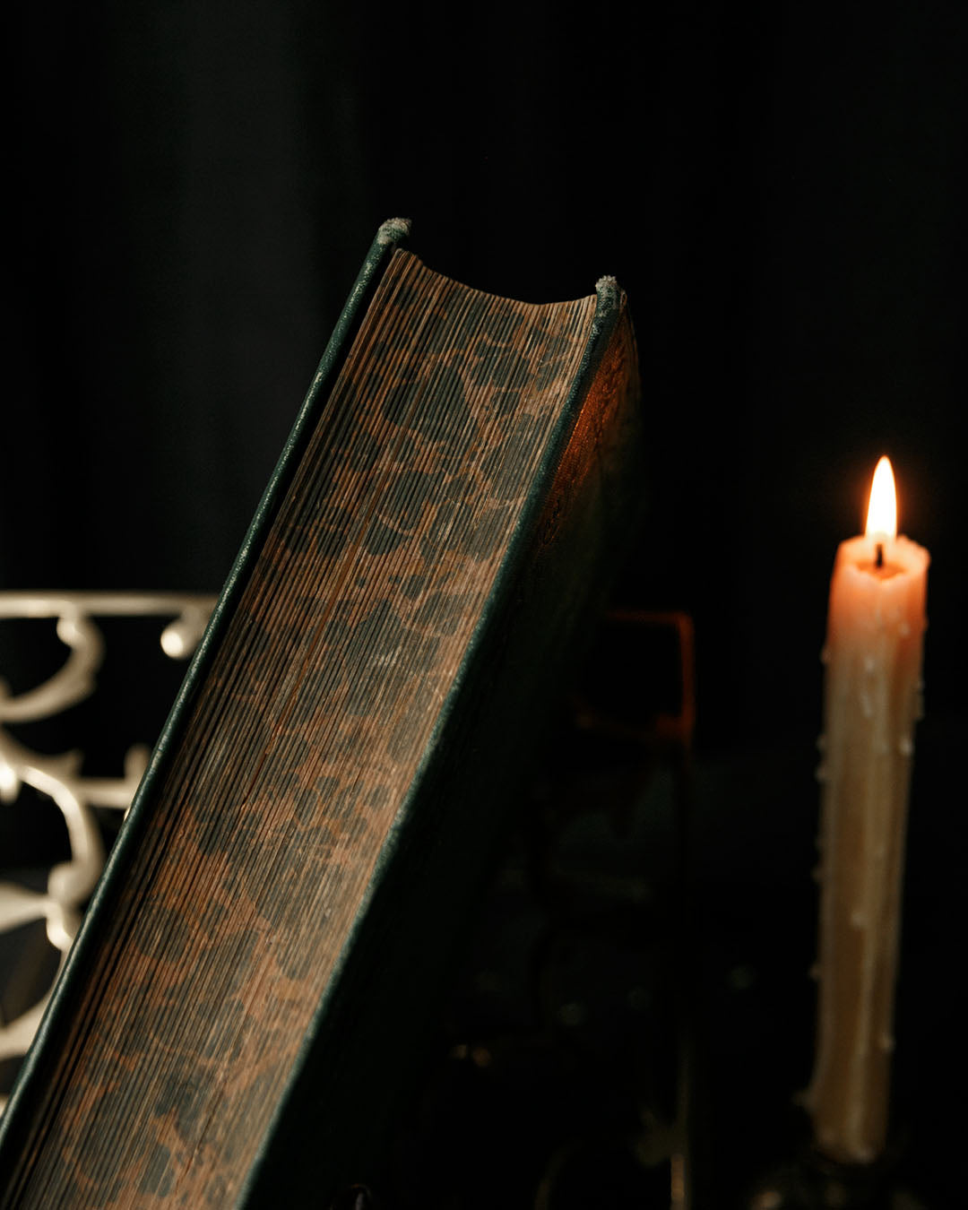 The Royal Path of Life Book