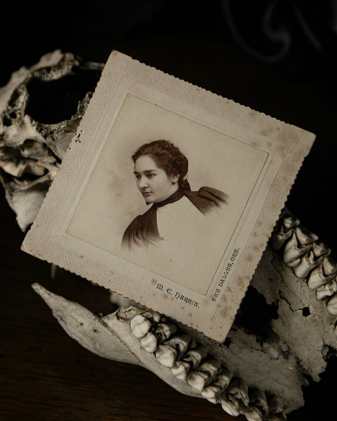 Antique Cabinet Card