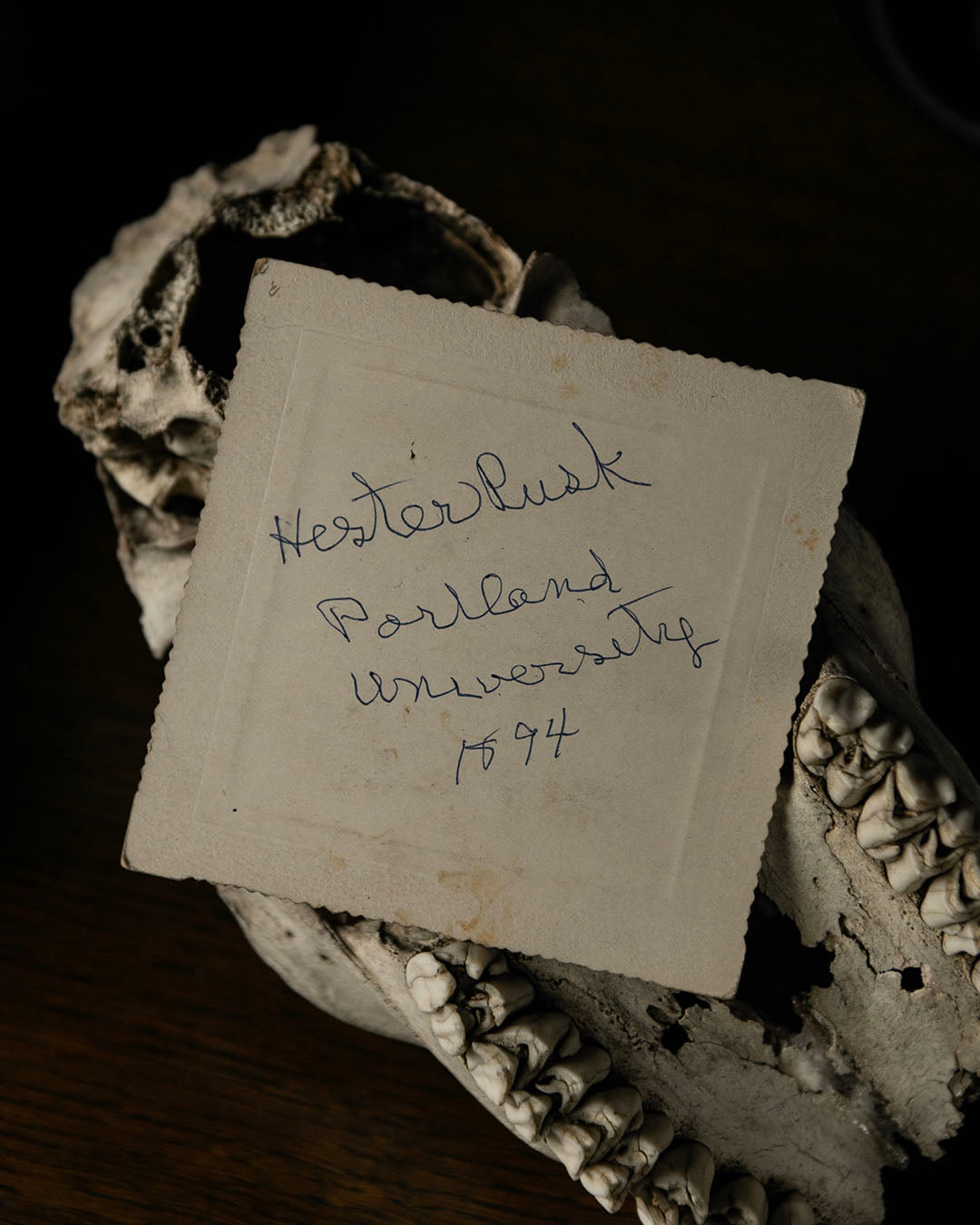 Antique Cabinet Card