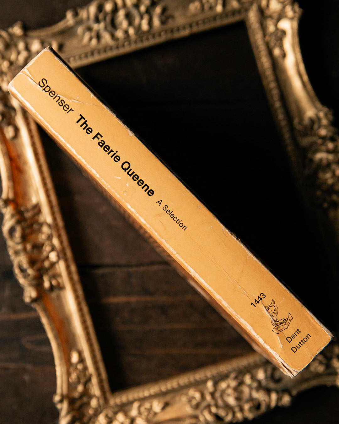 The Faerie Queene Book