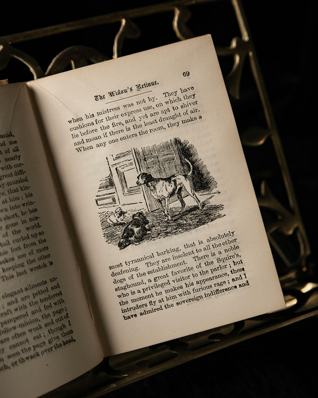 Antique Book