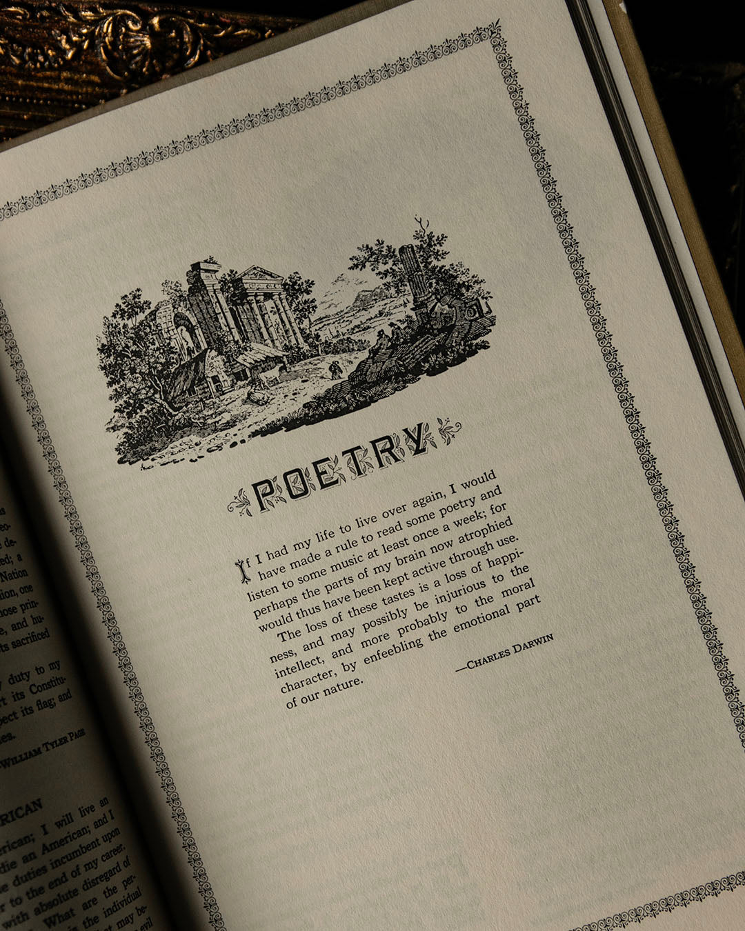 Better Than Gold Book