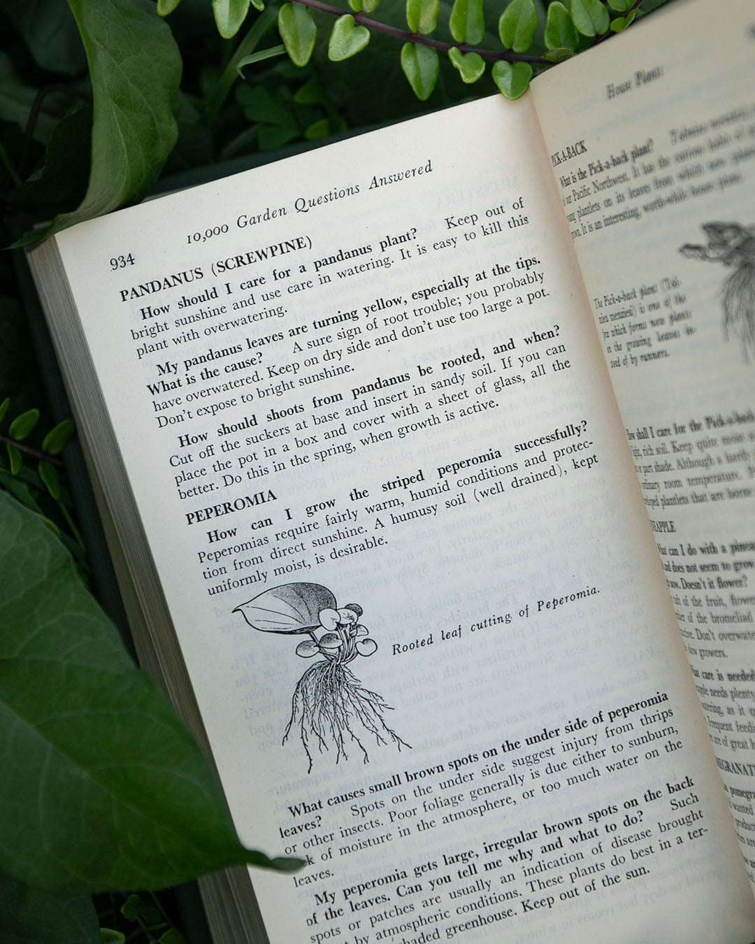 Vintage Gardening Book