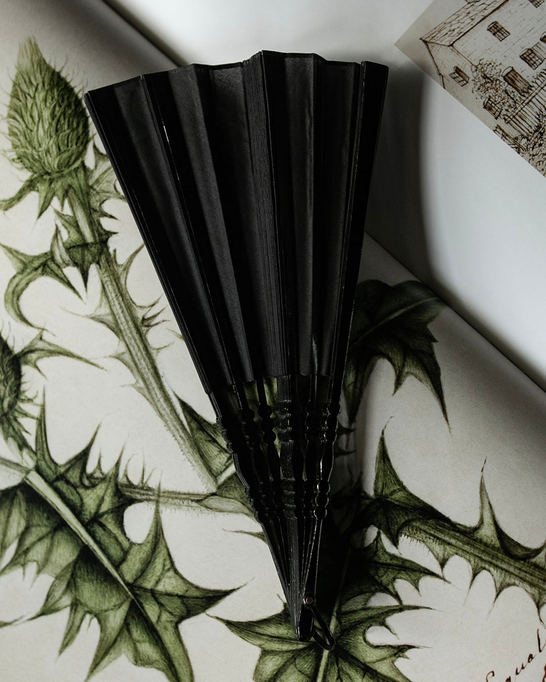 Antique Mourning Fan