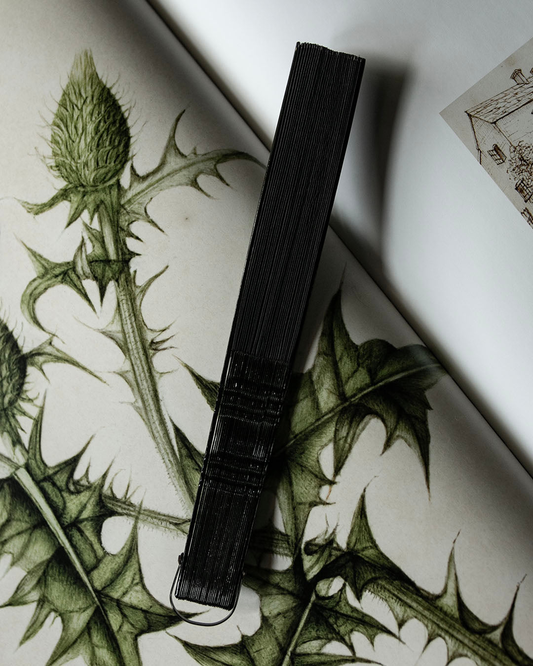 Antique Mourning Fan