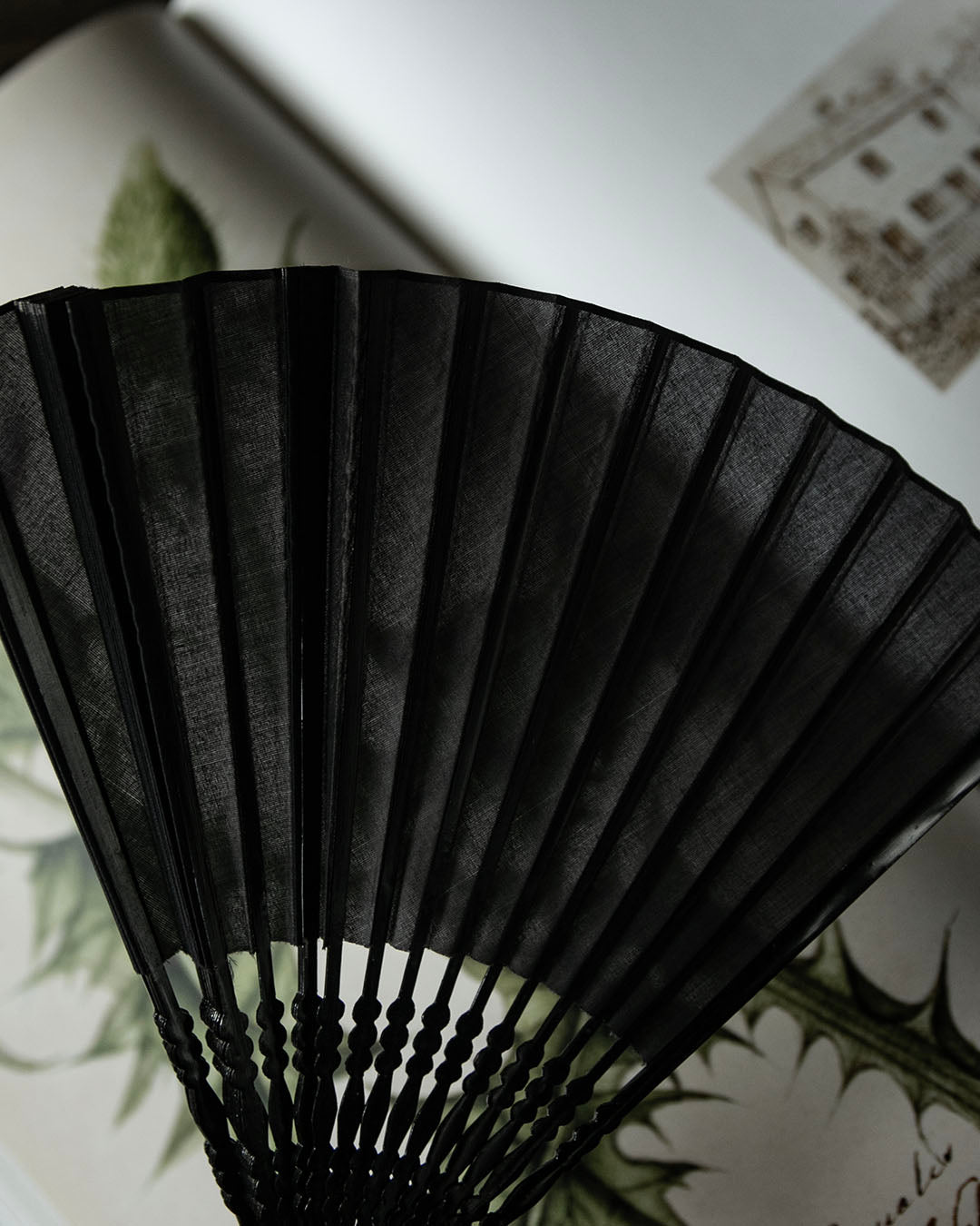 Antique Mourning Fan