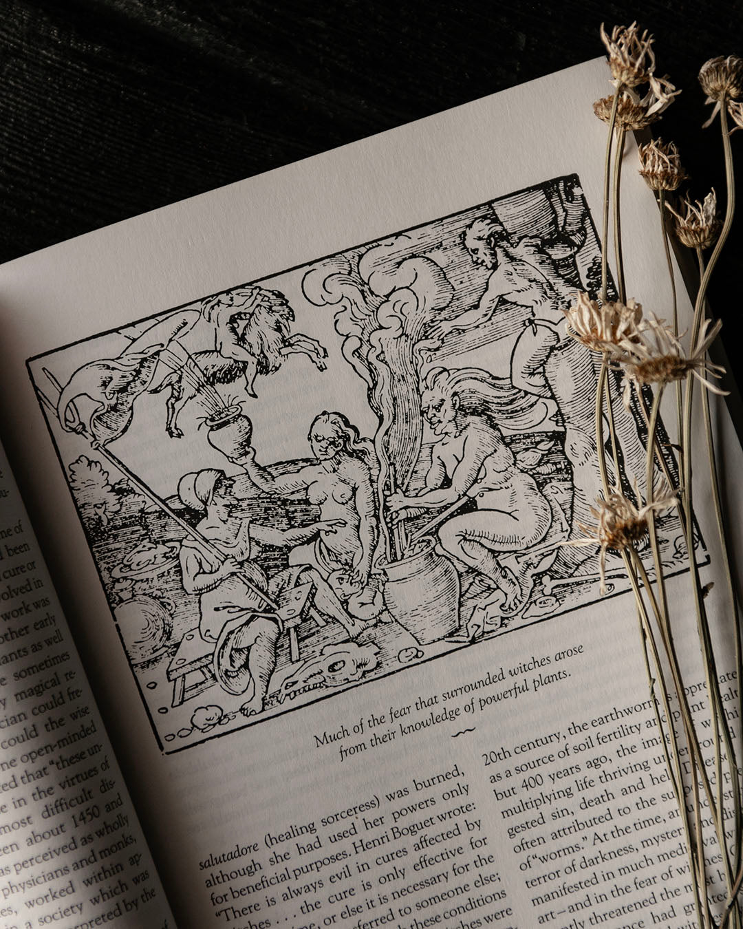 Lilies on the Hearth Book