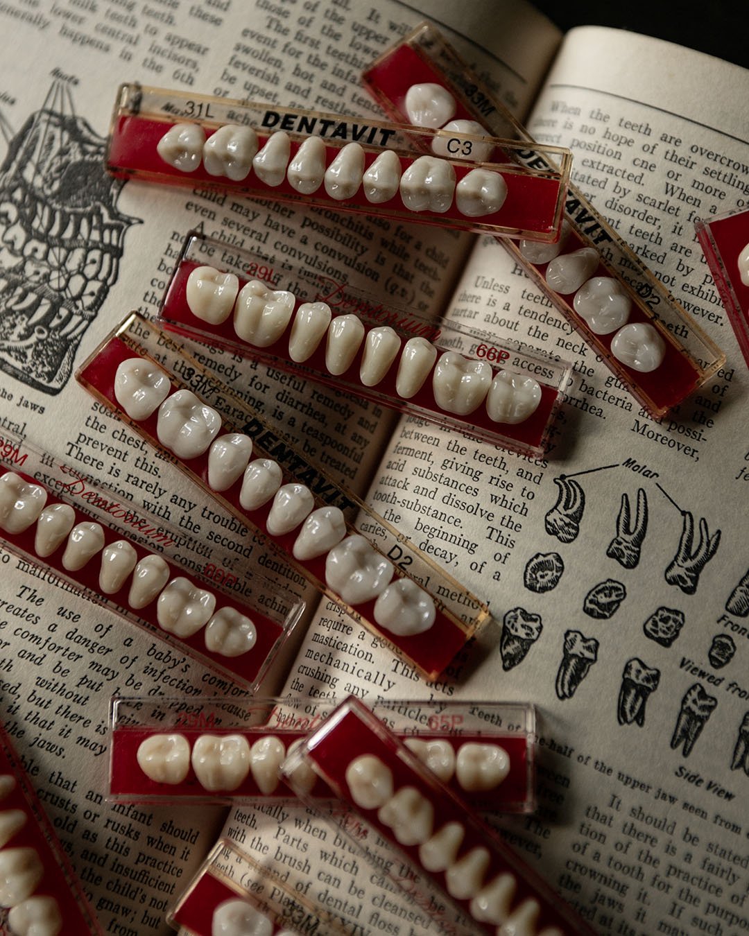 Vintage Tooth Sets