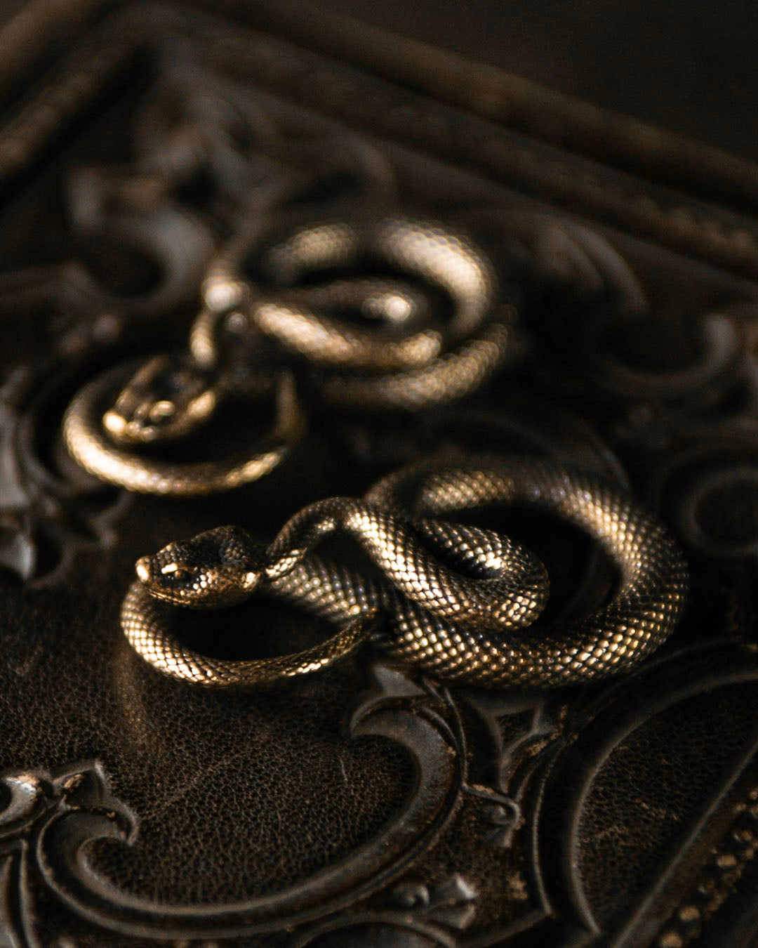 Brass Snake Talisman