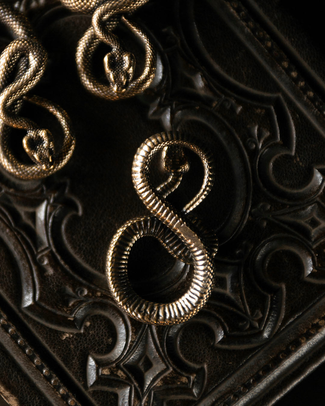 Brass Snake Talisman
