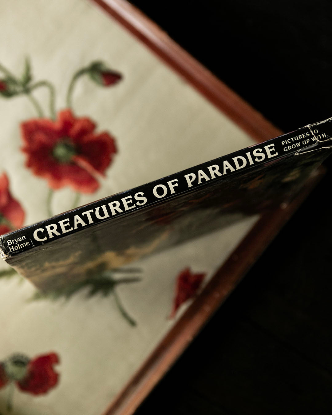Creatures of Paradise Book