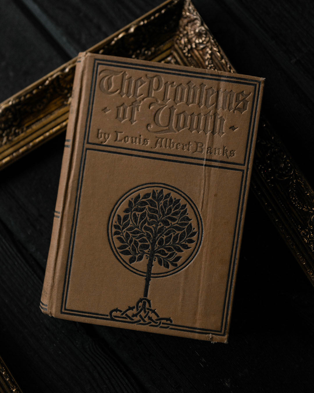 The Problems of Youth Antique Book