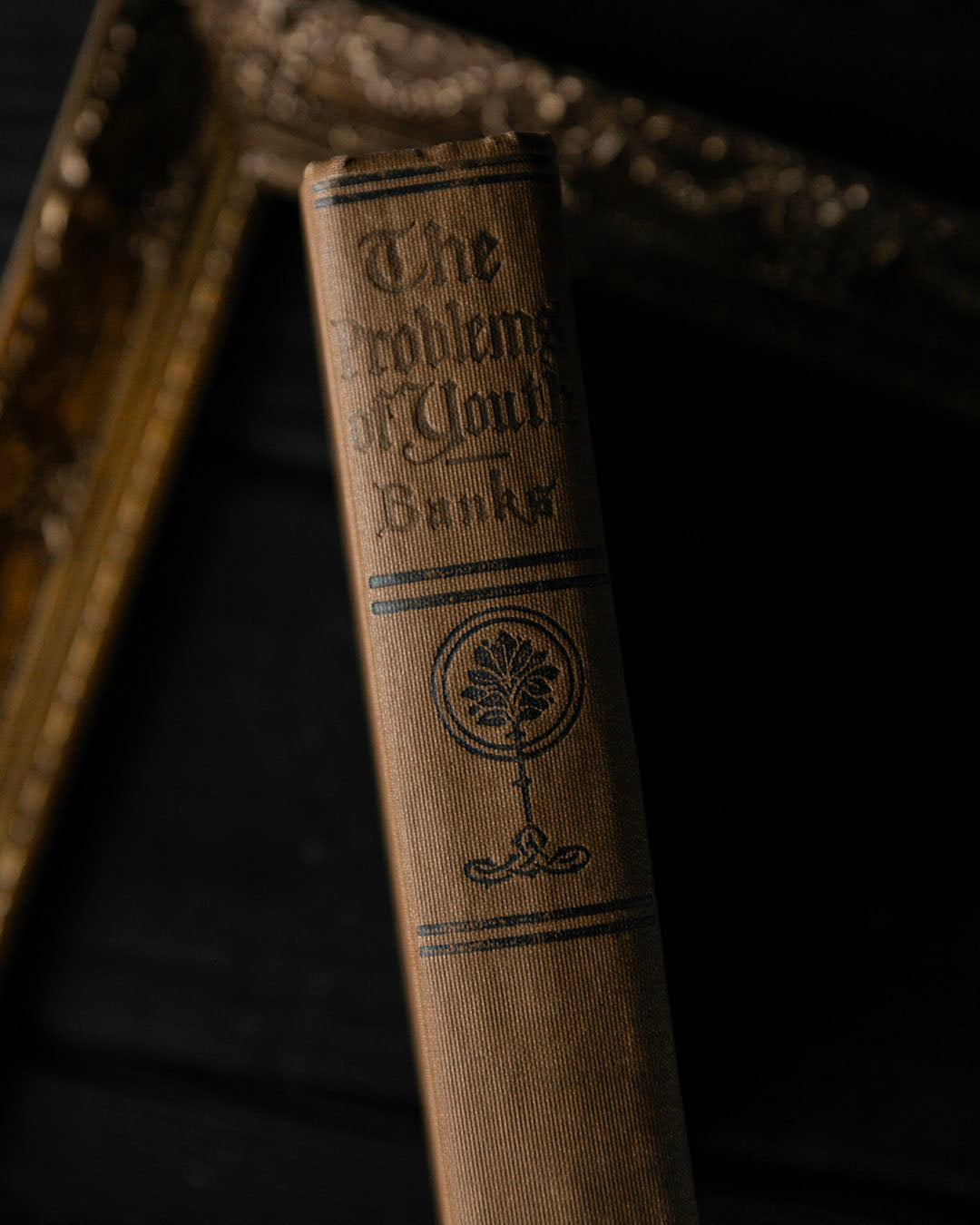 The Problems of Youth Antique Book
