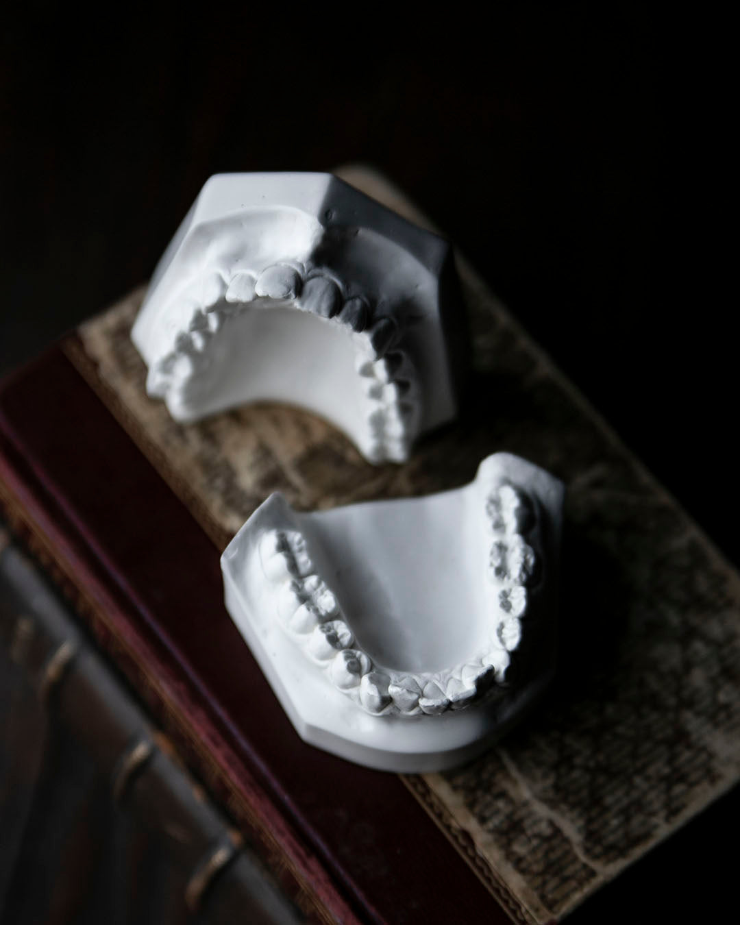 Vintage Dental Moulds